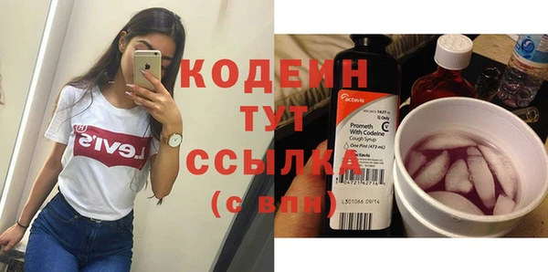 спиды Богородицк