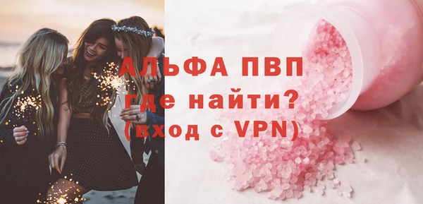 спиды Богородицк