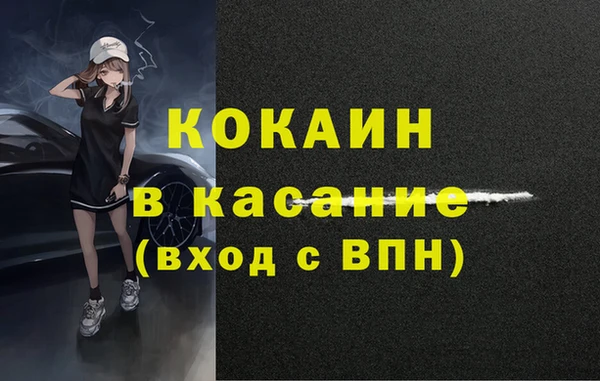 спиды Богородицк