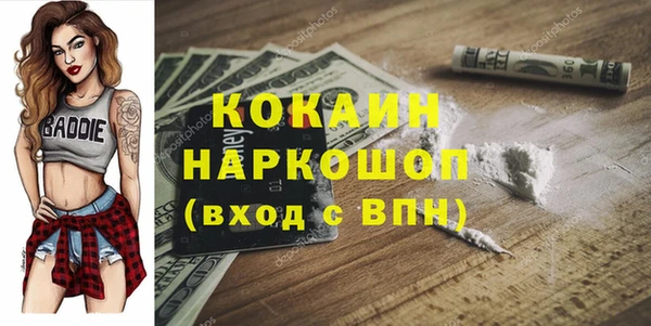 спиды Богородицк