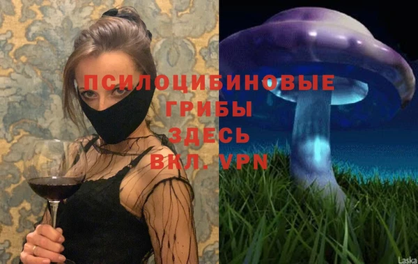 спиды Богородицк