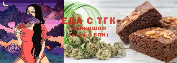 спиды Богородицк