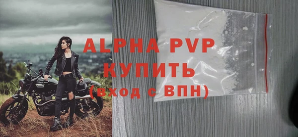 спиды Богородицк