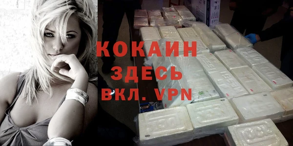 спиды Богородицк