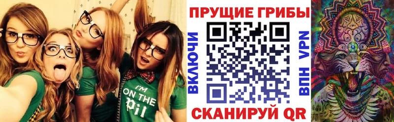 Псилоцибиновые грибы Cubensis Красный Холм